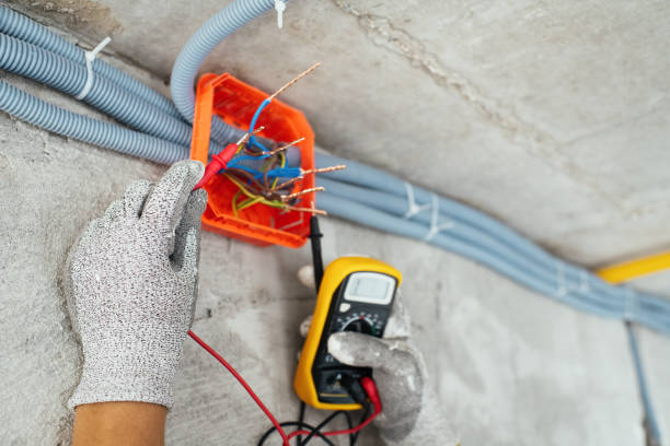 Best Electrical System Inspection  in Windsor, VA